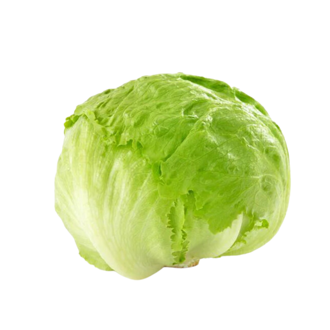 Icebergsalat